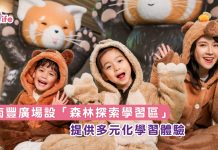 南豐廣場設「森林探索學習區」 提供多元化學習體驗